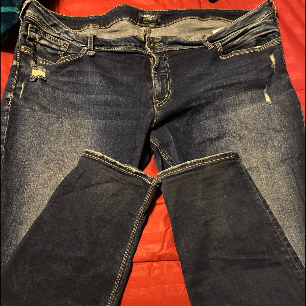 Women’s Plus Size Jeans